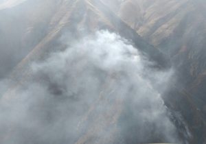 آتشسوزی جنگلهای الیت مهار شده است