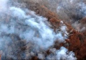 کنترل و مهار نهایی آتش در سایر نقاط جنگلی مازندران