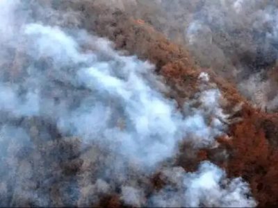 کنترل و مهار نهایی آتش در سایر نقاط جنگلی مازندران