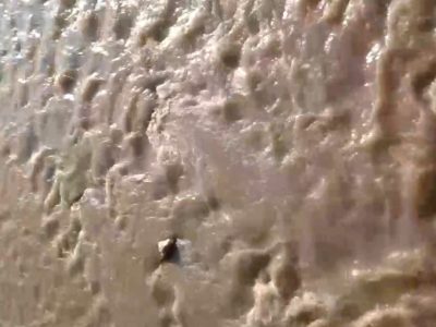 رودخانه چالوس دوباره گلآلود شد؛ نگرانیها از تکرار بحران زیستی + فیلم