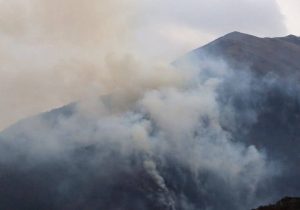 مصدومیت ۵ نفر در آتش‌سوزی جنگل‌های الیت چالوس