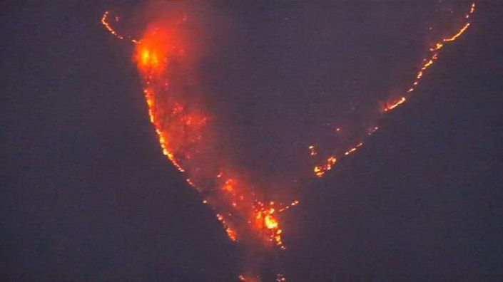 آتش سوزی جنگل‌های هیرکانی در دست بررسی است