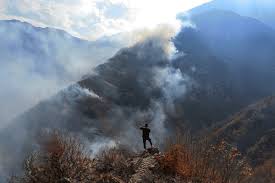 رصد شبانهروزی جنگل هیرکانی الیت تا خاموشی کامل