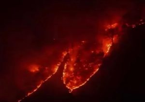 انتقاد دادستان مازندران از ضعف نظارت محیط زیست و گردشگری