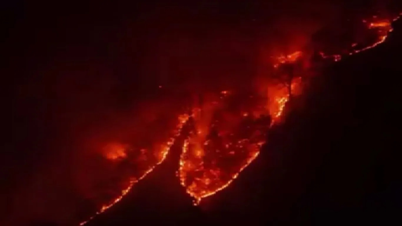 محیطزیست در آتشسوزی الیت تمامقد پای کار بود محیطزیست در آتشسوزی الیت تمامقد پای کار بود