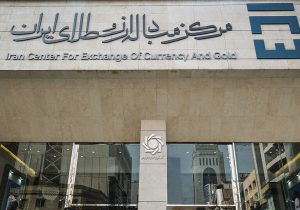 پوست اندازی در نظام ارزی