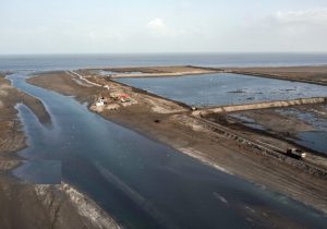 جدایی تلخ میانکاله از مادر