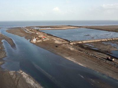 جدایی تلخ میانکاله از مادر