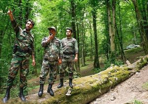 رد زنی قاچاقچیان چوب حتی در خارج از مازندران