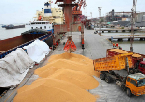 پهلوگیری ۱۰ هزار تن گندم در بندر امیرآباد