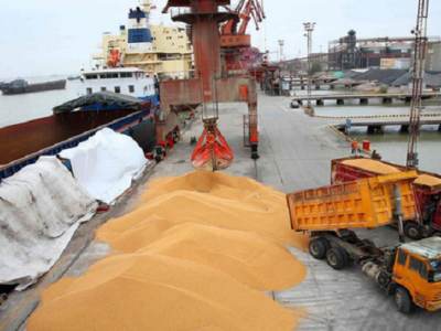 پهلوگیری ۱۰ هزار تن گندم در بندر امیرآباد