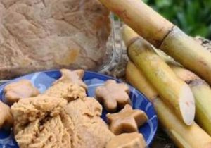 آغاز به کار جشنواره نیشکر