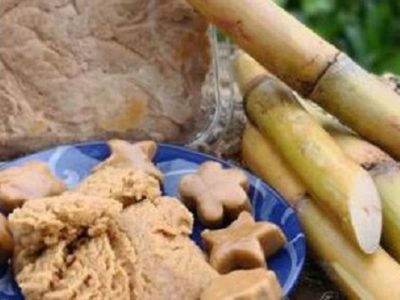 آغاز به کار جشنواره نیشکر