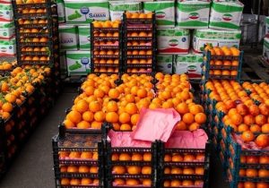 ذخیرهسازی ۳۰۰ تن میوه شب عید در مازندران