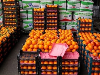 ذخیرهسازی ۳۰۰ تن میوه شب عید در مازندران