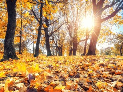 پایداری هوای گیلان در روز‌های پایانی پاییز و آغازین زمستان