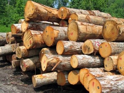 کشف ۱۵ تن چوب آلات جنگلی قاچاق