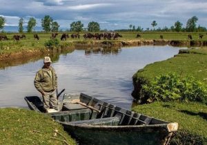 تشدید نظارت‌ها بر شکار همزمان با اوج مهاجرت پرندگان