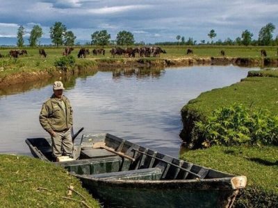 تشدید نظارت‌ها بر شکار همزمان با اوج مهاجرت پرندگان