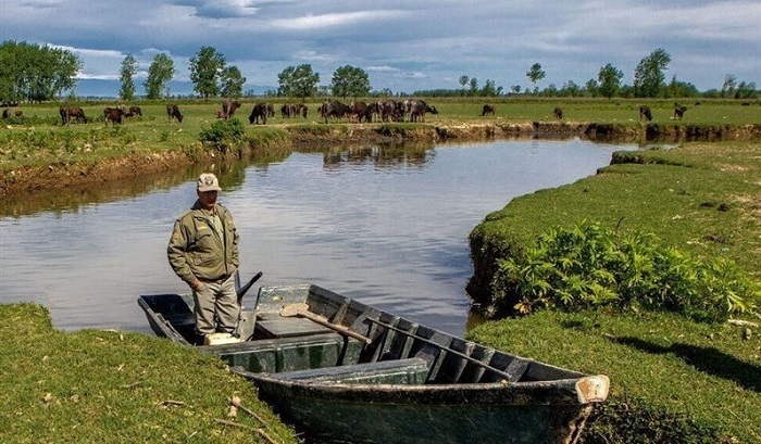 تشدید نظارت‌ها بر شکار همزمان با اوج مهاجرت پرندگان