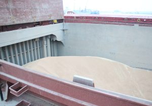 ورود کشتی ۳ هزار تنی گندم کیفی به بندر نوشهر