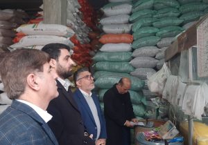 نظارت میدانی گشت‌های مشترک تعزیرات در ماسال