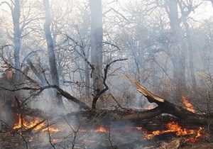 هشدار آتش سوزی در عرصه های طبیعی گیلان