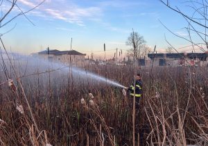 مهار آتش‌سوزی نیزار و مراتع در خشکبیجار