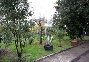 افتتاح باغ موزه گیاه شناسی گیلان در لاهیجان