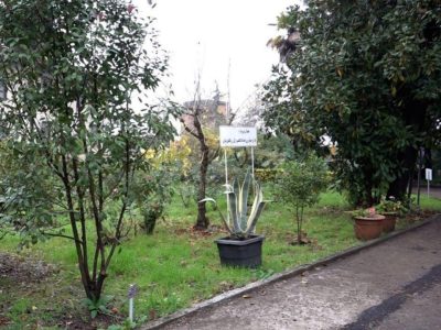 افتتاح باغ موزه گیاه شناسی گیلان در لاهیجان