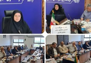 جلسه مشترک کمیسیون کارگری و ساماندهی اتباع خارجی در فرمانداری عباسآباد برگزار شد