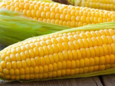 ۳۰ هزار تن مواد اولیه در گمرک بلاتکلیف است