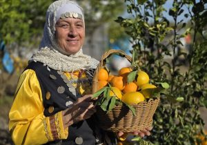 جشنواره شکرانه برداشت پرتقال در روستای پرشکوه بخش کومله