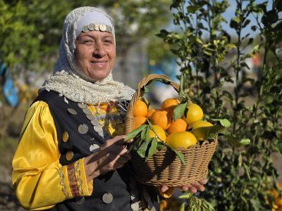 جشنواره شکرانه برداشت پرتقال در روستای پرشکوه بخش کومله