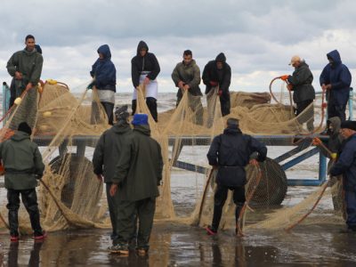 ارزش اقتصادی ماهیان صید شده از دریای مازندران ۵۵۰ میلیارد تومان رسید