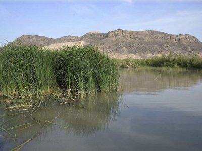 تأمین نیاز آبی تالابهای کشور در دستور کار دولت