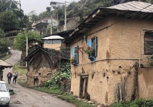 شانه‌تراش در مسیر ثبت جهانی‌