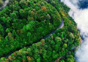 نجات مرد گمشده در جنگل‌های شهرستان رشت