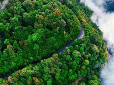 نجات مرد گمشده در جنگلهای شهرستان رشت
