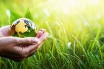 استمرار پایش‌ها و نظارت‌های محیط زیستی در مازندران