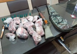 کشف لاشه کل و بز وحشی و سلاح شکاری از مخفیگاه شکارچی متخلف در رودبار