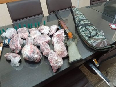 کشف لاشه کل و بز وحشی و سلاح شکاری از مخفیگاه شکارچی متخلف در رودبار