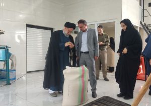 افتتاح طرح‌های اشتغالزایی در رضوانشهر
