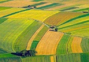 امکان تغییر کاربری زمین روستائیان برای تسهیل امور