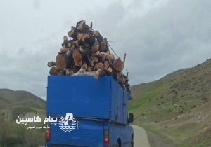 عامل حمله به جنگلبانان فومن دستگیر شد