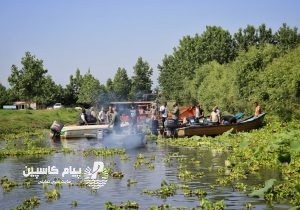 ۷۵ درصد فاضلاب گیلان بدون تصفیه وارد رودخانهها میشود