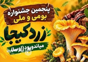زردکیجا در میاندورود مازندران